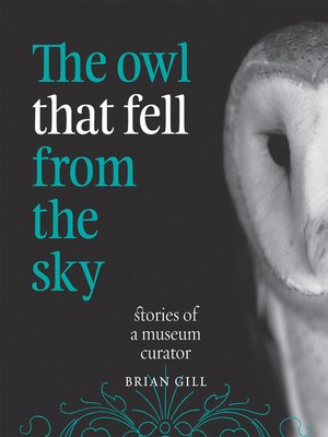 cover image of The Owl That Fell from the Sky